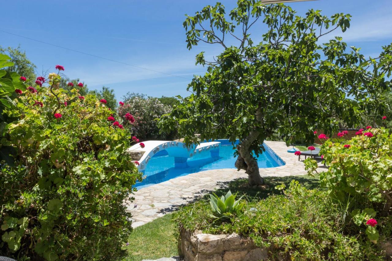 Villa Casa De Pedra E Cal à District de District de Faro Extérieur photo